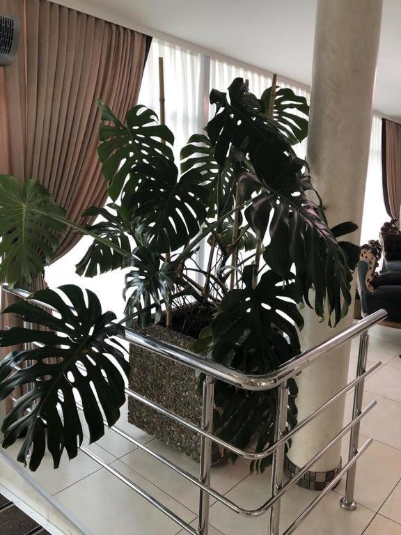 Hotel Перлина Saevka Extérieur photo